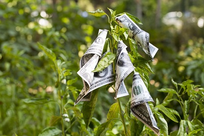 Inflation